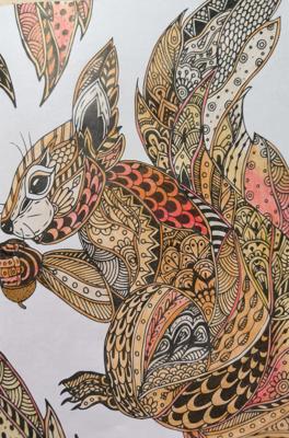 Белка от VikaS