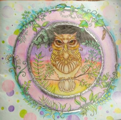 Сова от VikaS