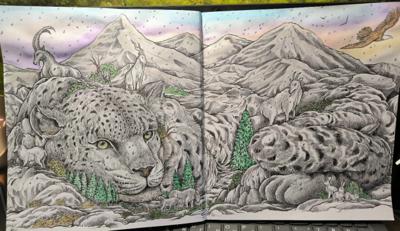 Снежный барс от VikaS