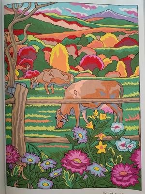 Работа от Кира