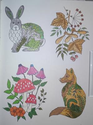 Работа от Кира