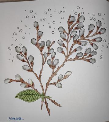 Работа от Кира