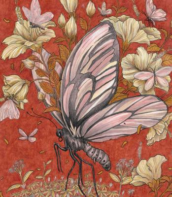 Птицекрылка от Leliana