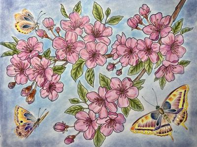 Цветущая вишня от Veronicha