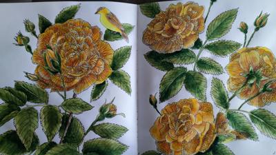 Работа от StarMaiden