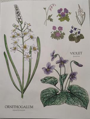 Работа от StarMaiden