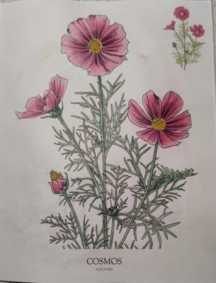 Работа от StarMaiden