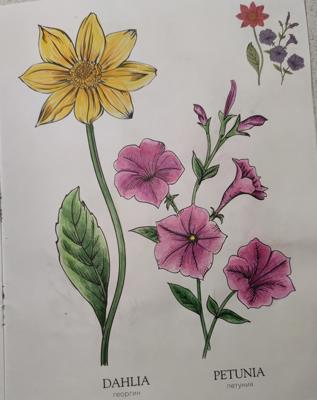 Работа от StarMaiden