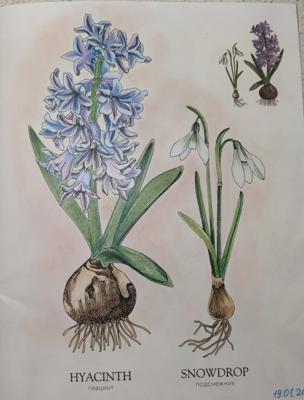 Работа от StarMaiden