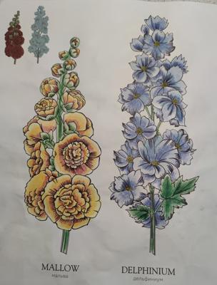 Работа от StarMaiden