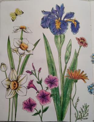 Работа от StarMaiden