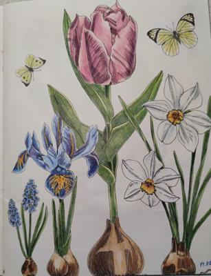 Работа от StarMaiden