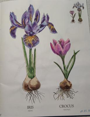 Работа от StarMaiden