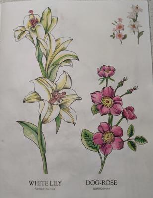 Работа от StarMaiden