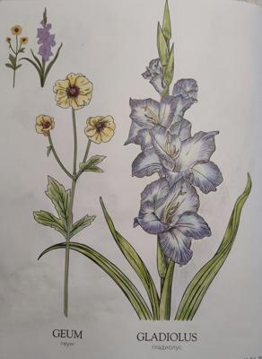 Работа от StarMaiden