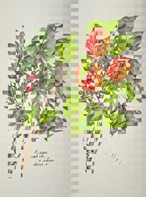 Работа от ChYulia