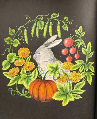 Работа от Anna Ganzevich