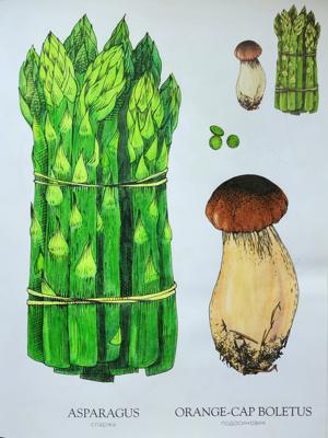 Работа от Anna Ganzevich