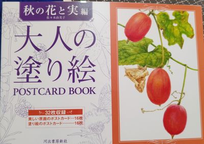 Осенние цветы и плоды