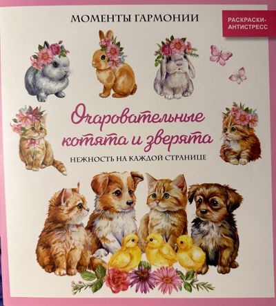 Очаровательные котята и зверята