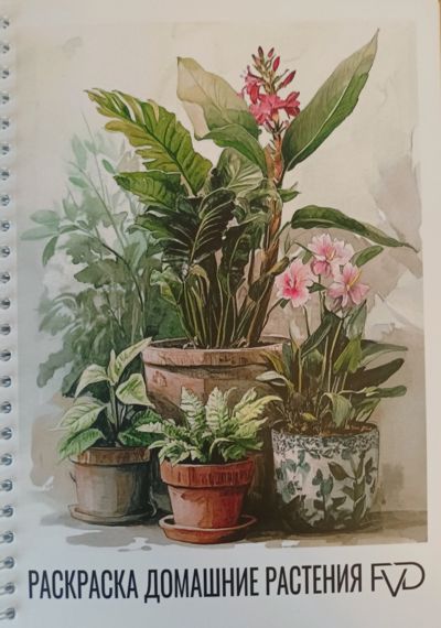 Домашние растения