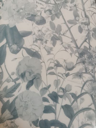 История ботанической иллюстрации