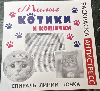 Милые котики и кошечки