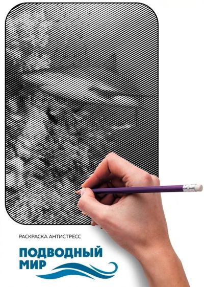 Подводный мир