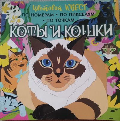 Коты и кошки