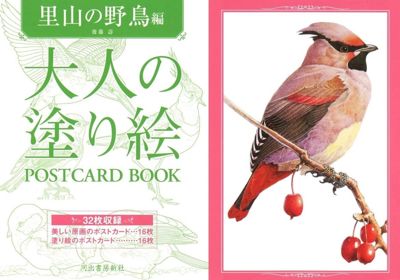 Wild birds