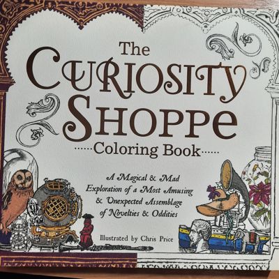 The Curiosity shoppe