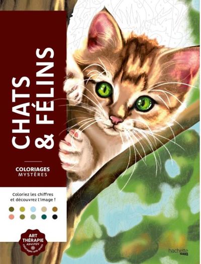Chats & felins