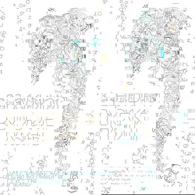 За дельфином в морские глубины