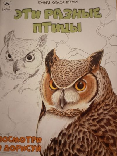 Эти разные птицы