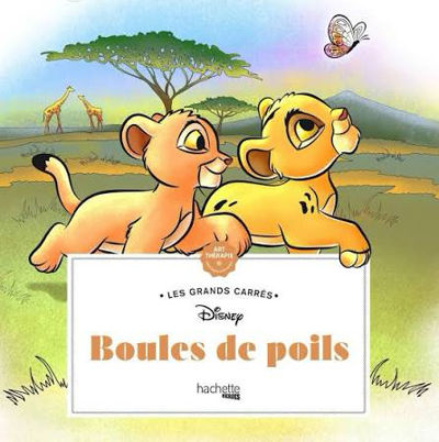 Boules de poils