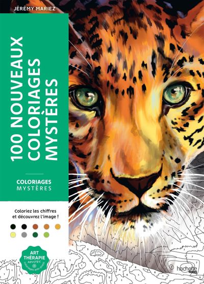 100 nouveaux coloriages mysteres
