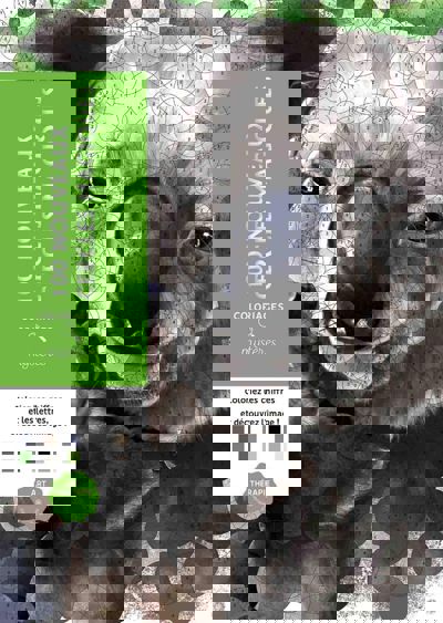 100 nouveaux cercles magiques