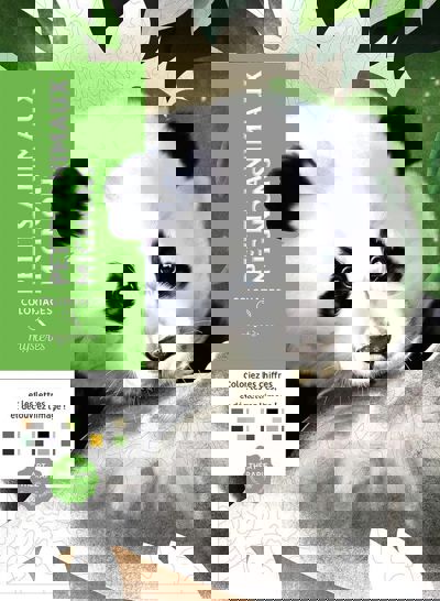 Petits animaux mignons