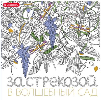 За стрекозой в волшебный сад