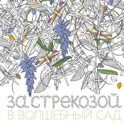 За стрекозой в волшебный сад