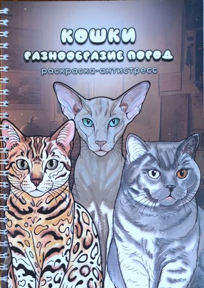 Кошки. Разнообразие пород