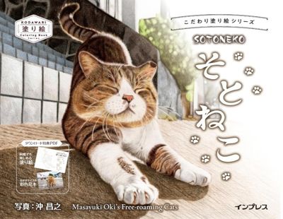 Masayuki Oki's the free-roaming cats