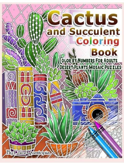 Cactus and succulent