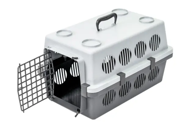 Переноска для кошек аренда