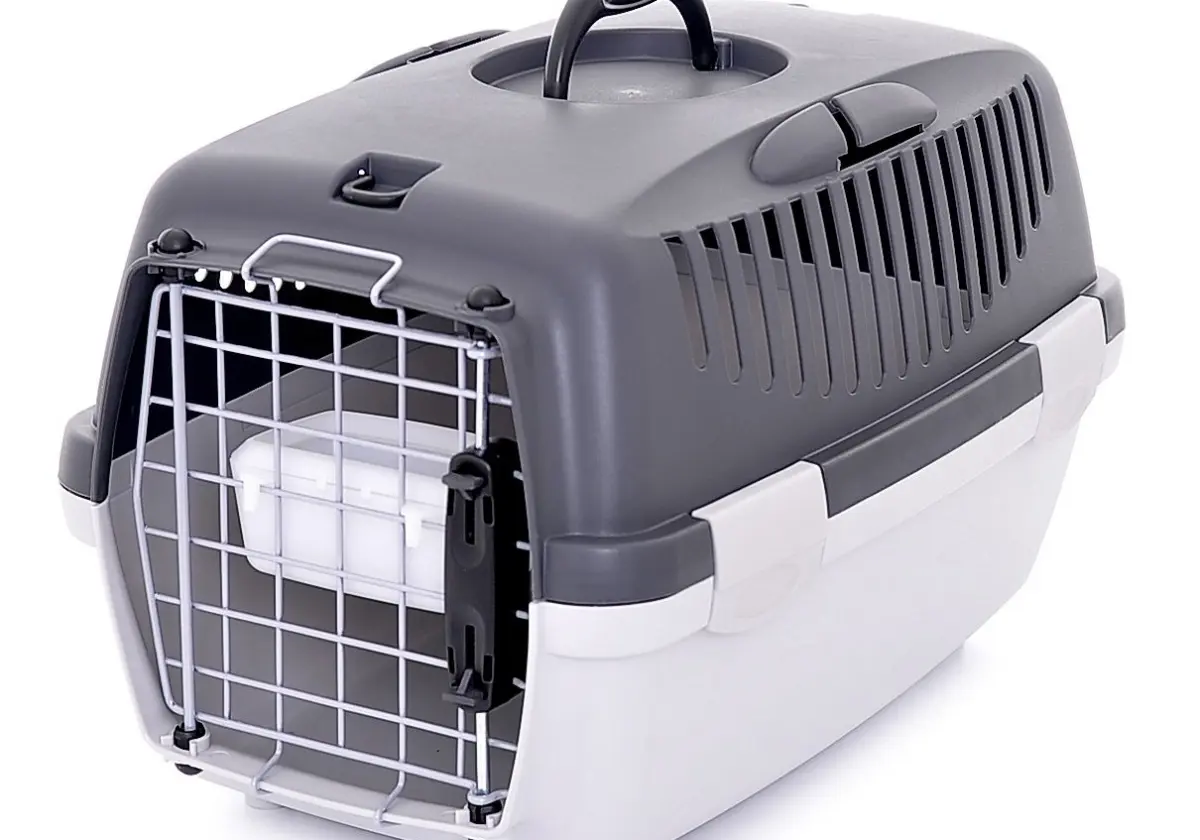 Переноска для кошек аренда