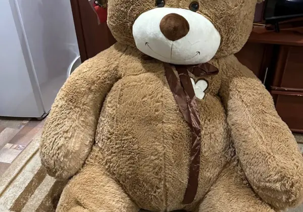 Плюшевый медведь прокат