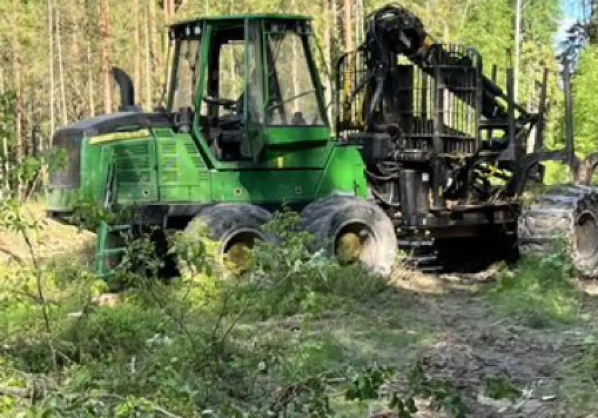 Услуги лесозаготовительного комплекса