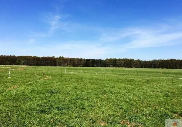 Сдам земельный участок