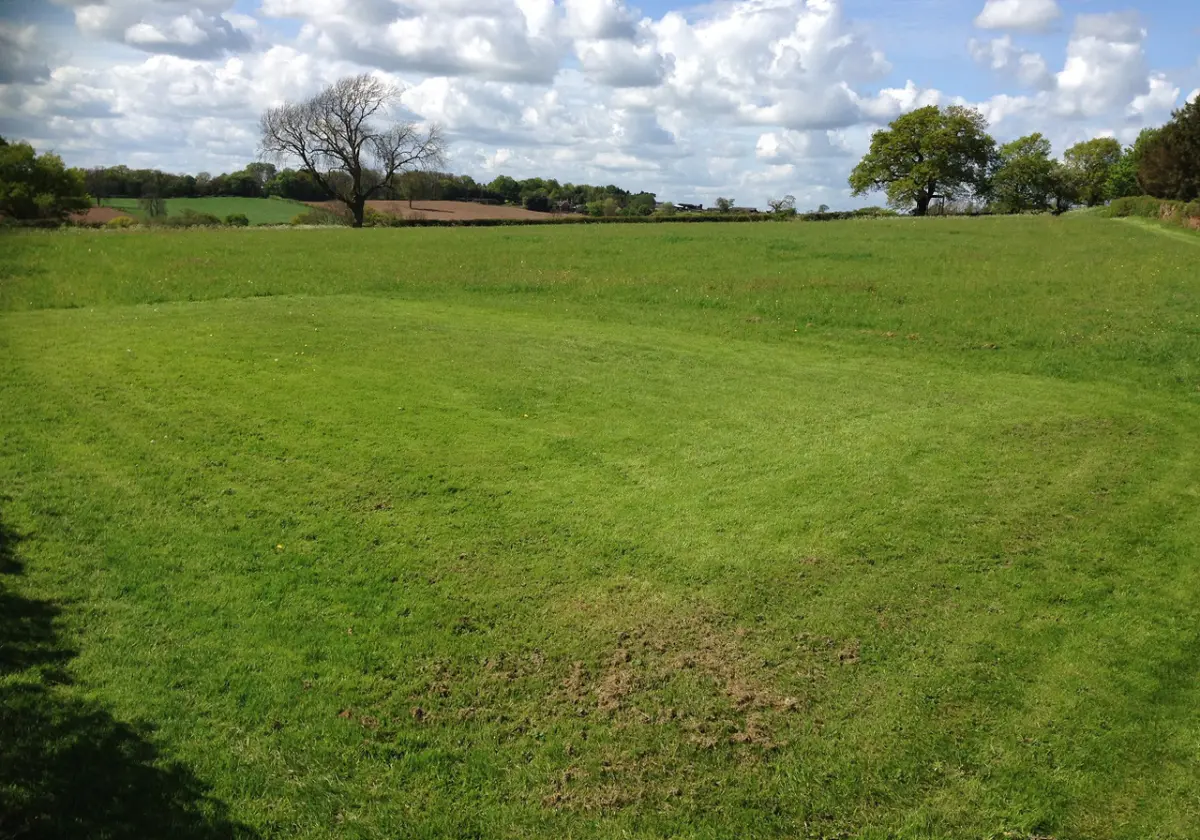 Сдам земельный участок