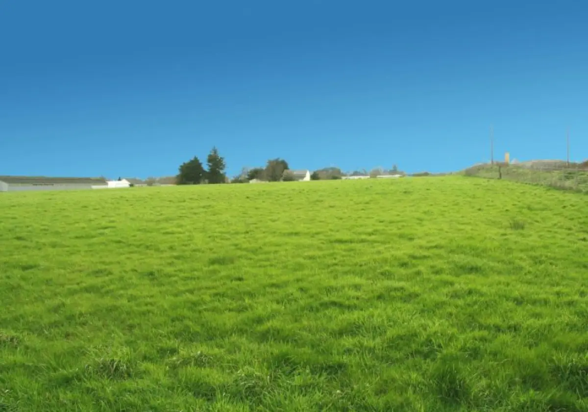 Сдам земельный участок